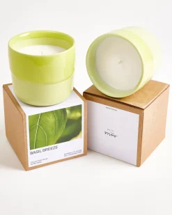Motel a Miio Velar Duftkerze Box Basil Breeze lime Online